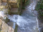 FZ001466 Overflowing steps and style.jpg